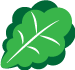 Lechuga
