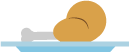 Pollo