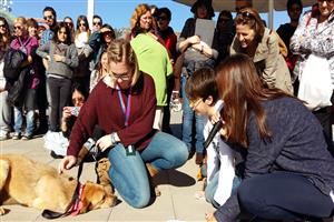El Consell ajuda a les associacions de protecció i defensa dels animals de companyia