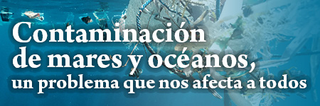 Contaminación de mares y océanos, un problema que nos afecta a todos