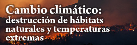 Cambio climático: destrucción de hábitats naturales y temperaturas extremas