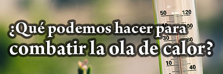 ¿Qué podemos hacer para combatir la ola de calor?