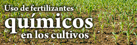 Uso de fertilizantes químicos en los cultivos