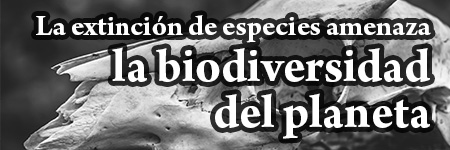 La extinción de especies amenaza la biodiversidad del planeta