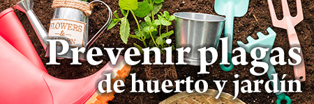 ¿Cómo prevenir las plagas de huerto y jardín?