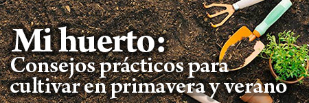 MI HUERTO: consejos prácticos