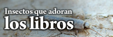 Insectos que adoran los libros