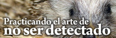 Practicando el arte de'no ser detectado'