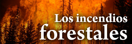 Los incendios forestales