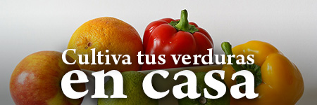 Cultiva tus propias verduras en casa