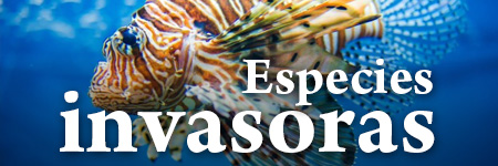 Especies invasoras