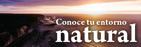 Conoce tu entormo natural