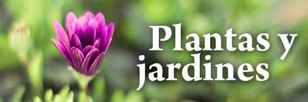 Plantas y jardines